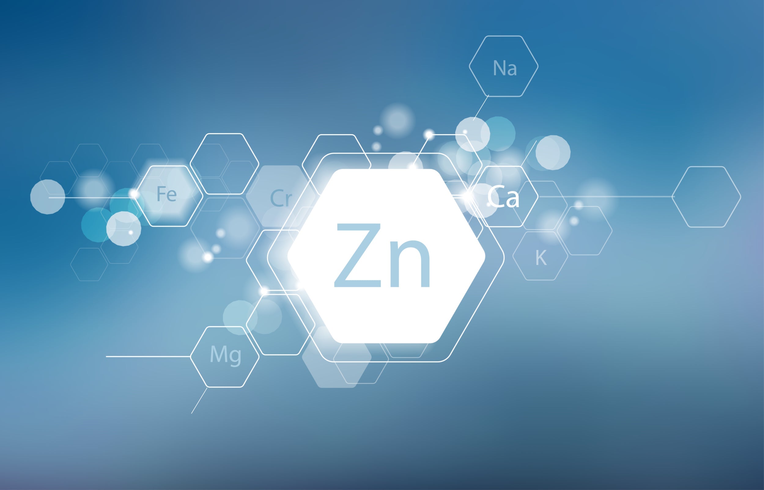 Foods With Zinc